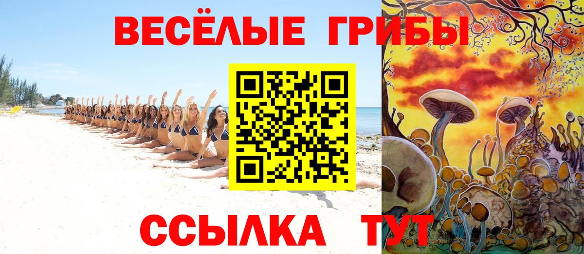 Тамбов  Псилоцибиновые грибы Cubensis  Вход с VPN 